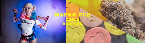 мяу мяу мука Белоозёрский